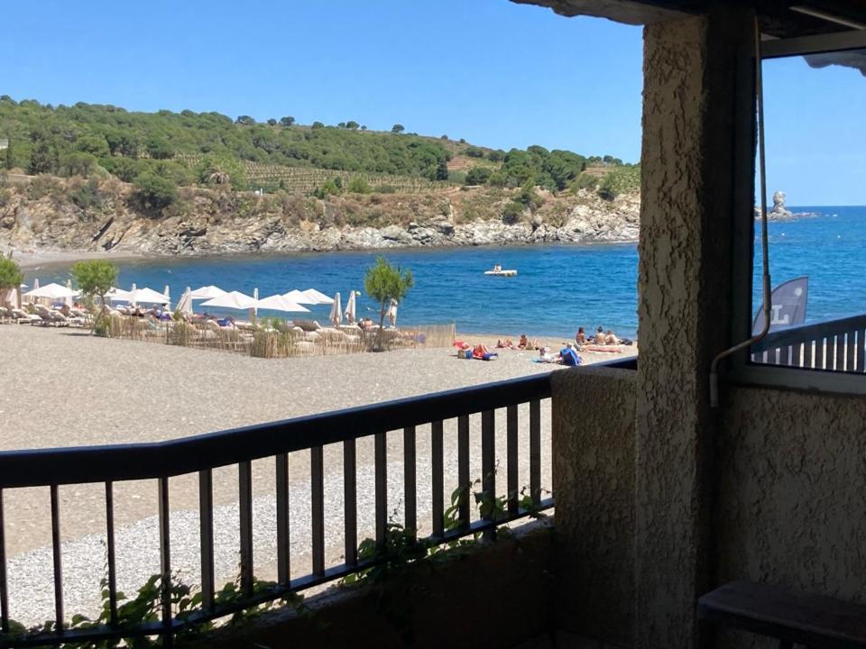 Les Pieds Dand L'Eau Διαμέρισμα Banyuls-sur-Mer Εξωτερικό φωτογραφία